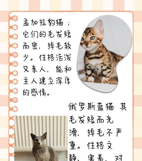 文章详情图片