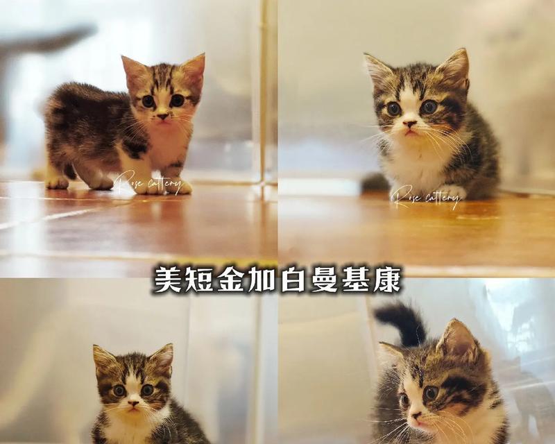 文章详情图片