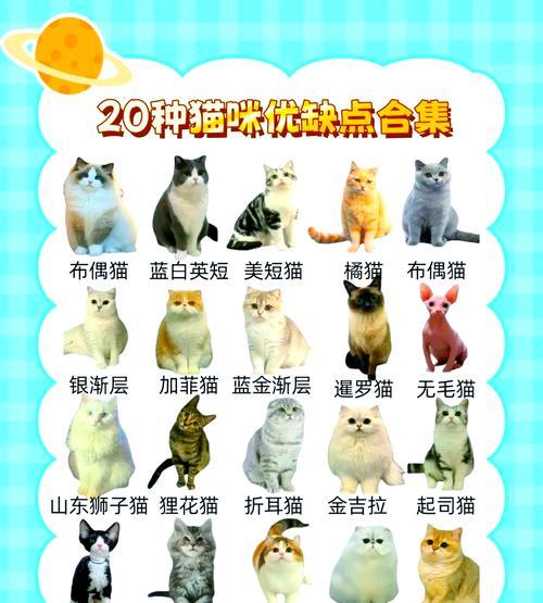 文章详情图片