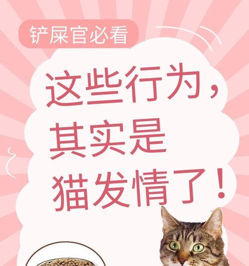 文章详情图片
