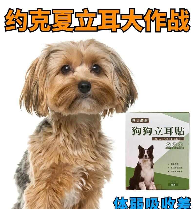 文章详情图片