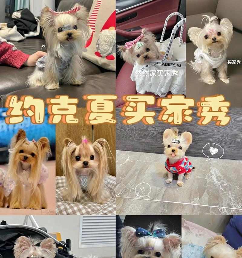 文章详情图片
