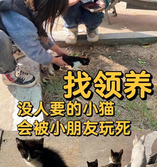 文章详情图片