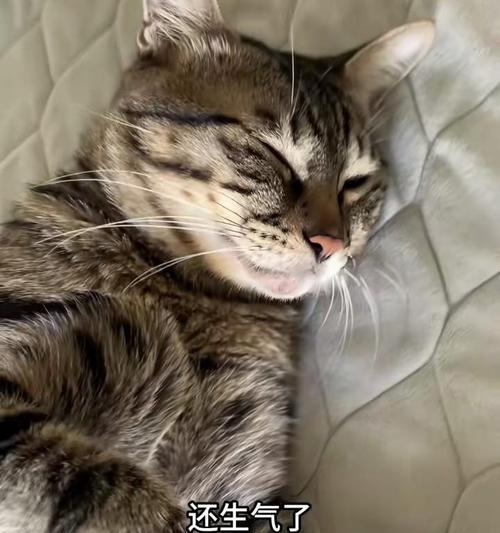 文章详情图片