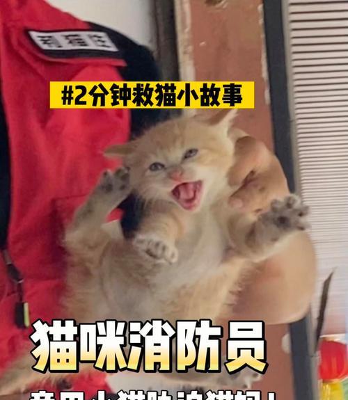 文章详情图片