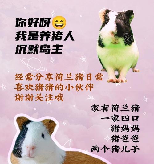 文章详情图片