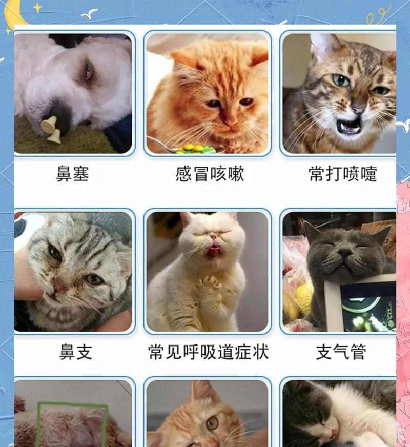 文章详情图片