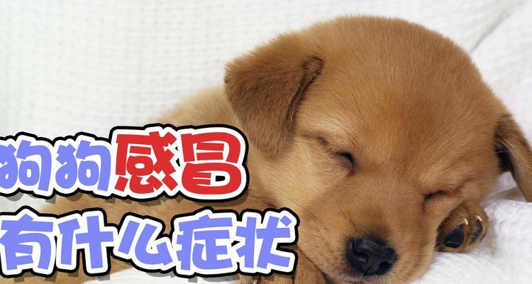 文章详情图片