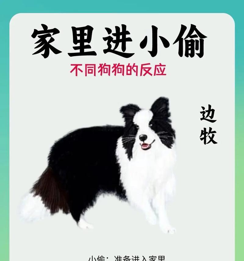 文章详情图片