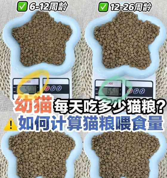 文章详情图片