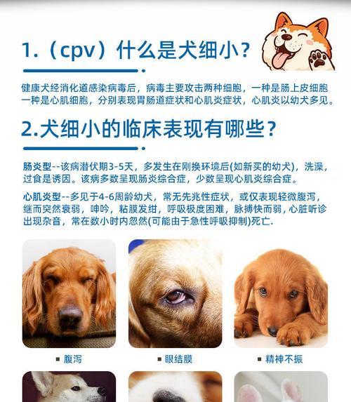 文章详情图片