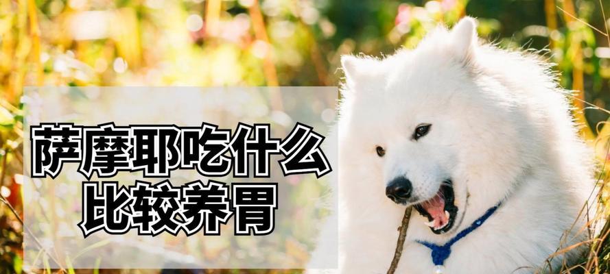 文章详情图片