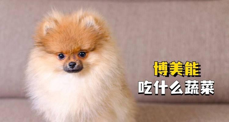 文章详情图片