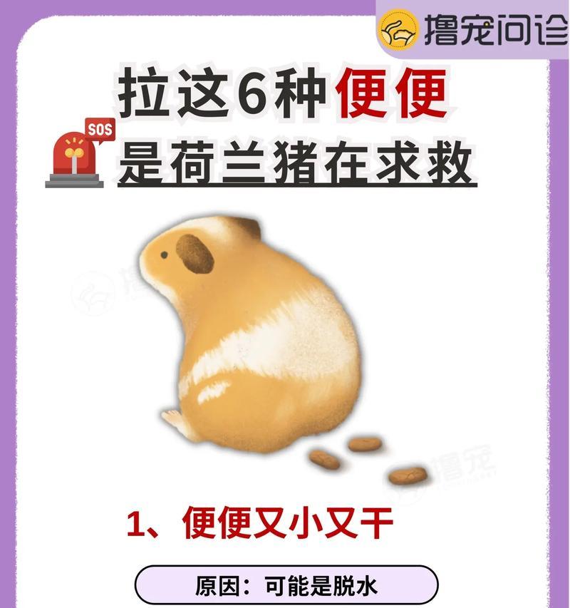 文章详情图片