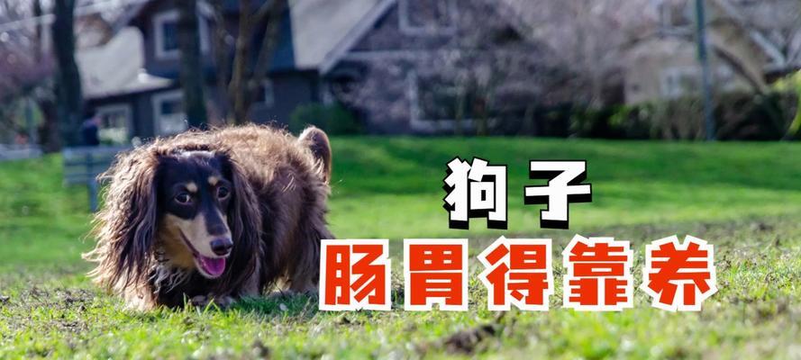 文章详情图片