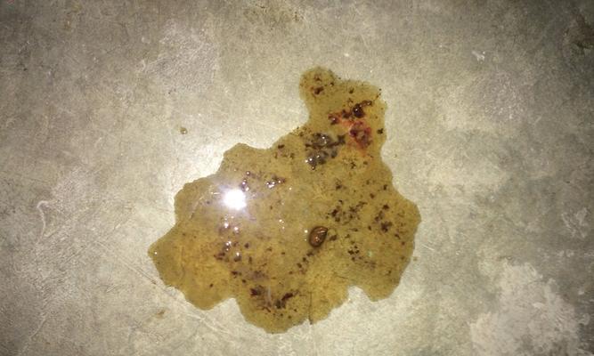 文章详情图片