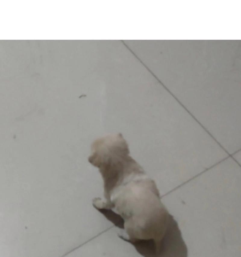 文章详情图片