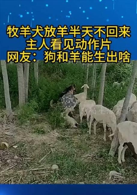 文章详情图片