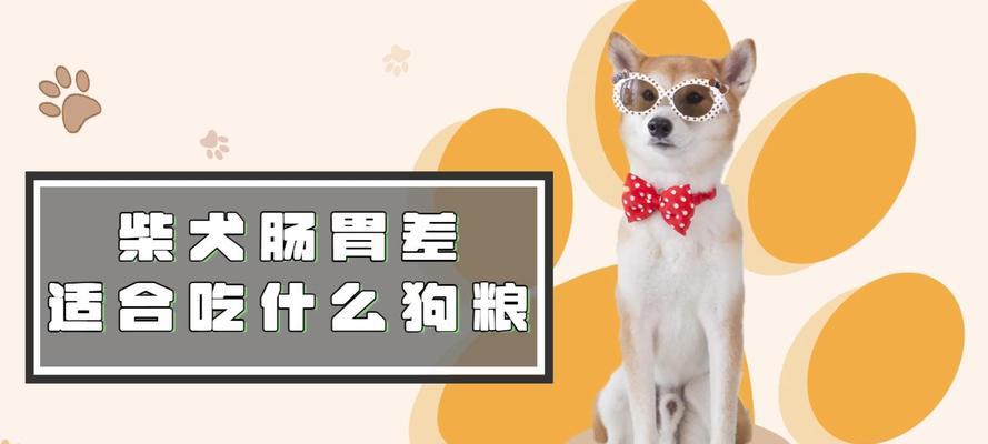 文章详情图片