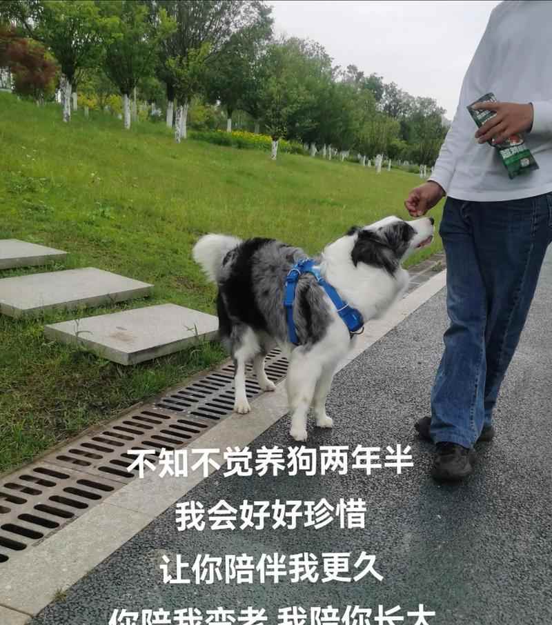 文章详情图片