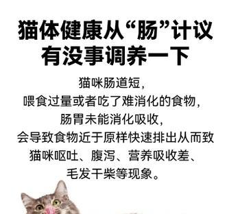 文章详情图片