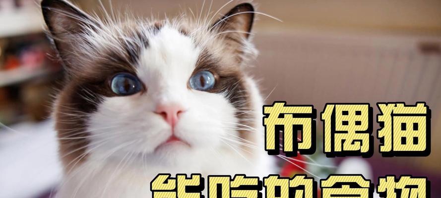 文章详情图片