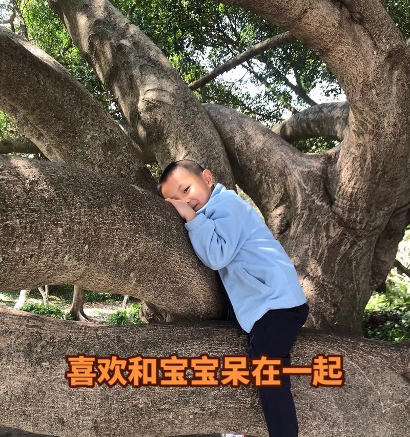 文章详情图片