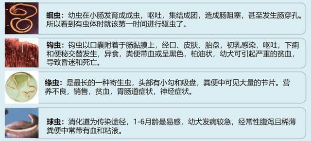 文章详情图片