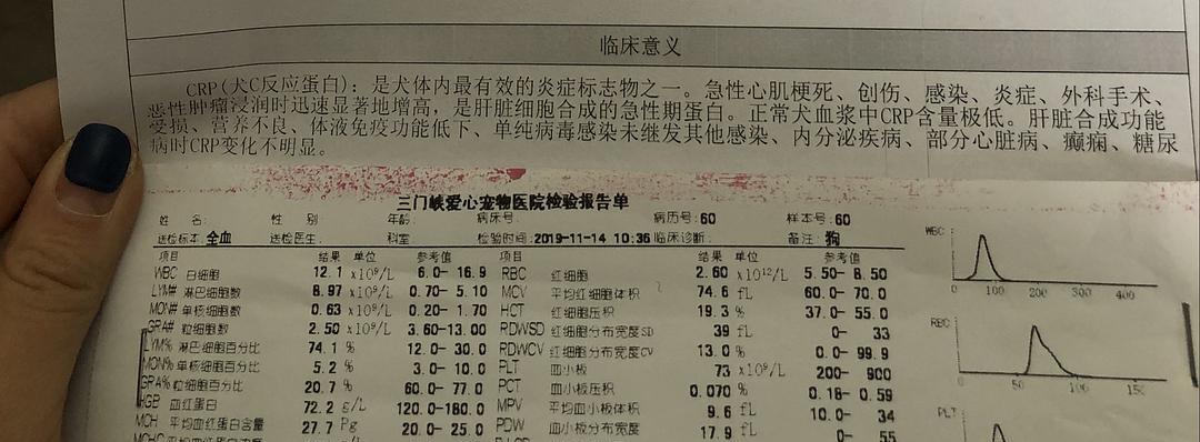 文章详情图片
