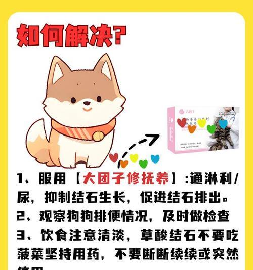 文章详情图片