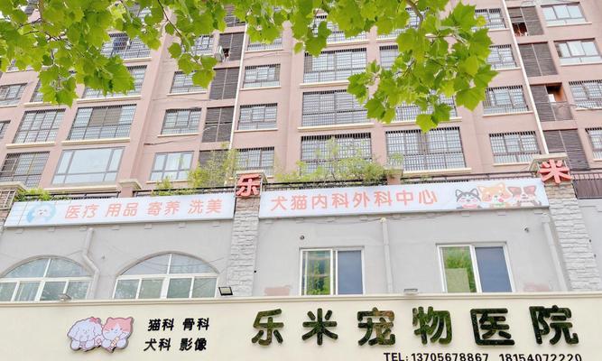 文章详情图片