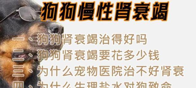 文章详情图片