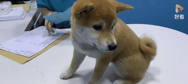 文章详情图片