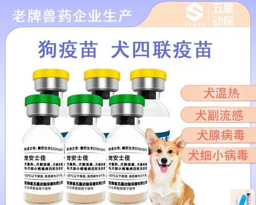 文章详情图片