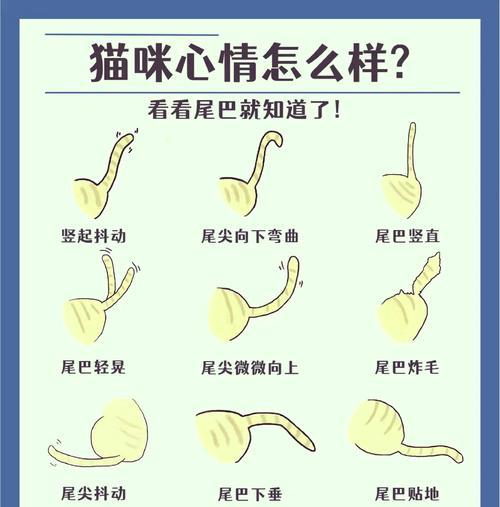 文章详情图片