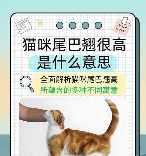 文章详情图片
