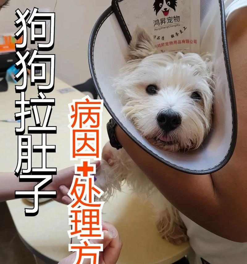 文章详情图片