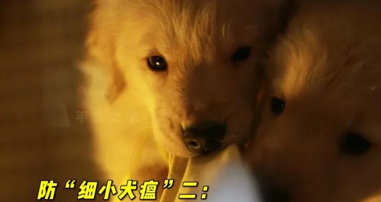 文章详情图片