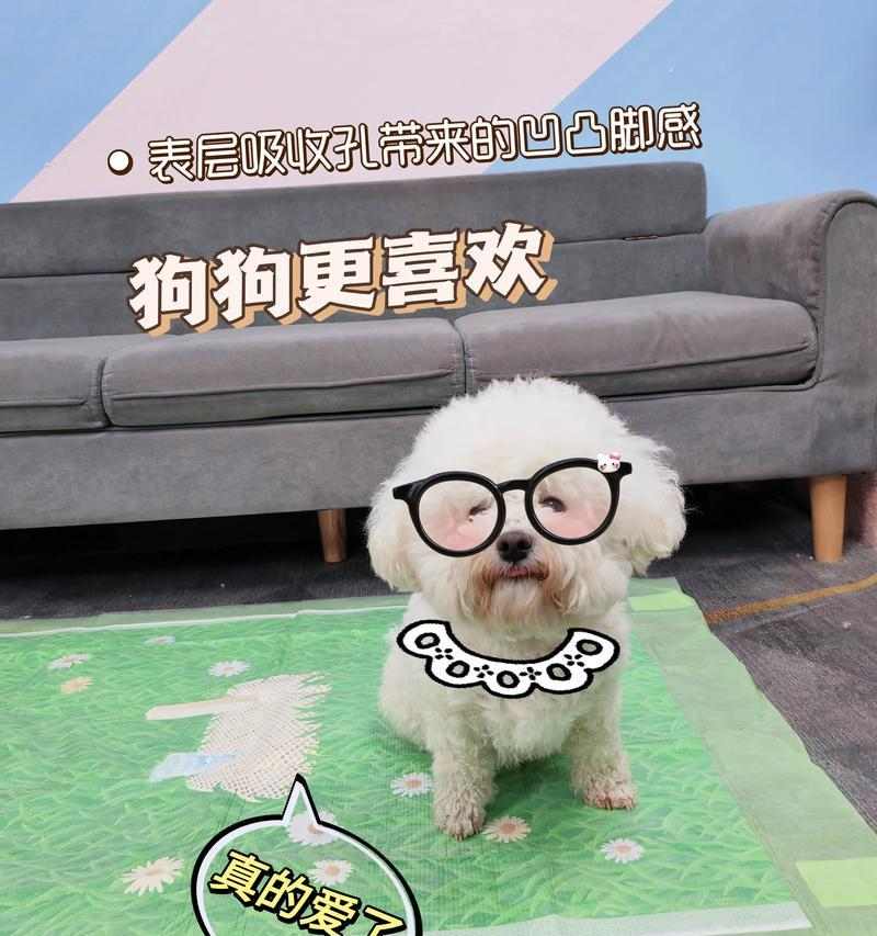 文章详情图片
