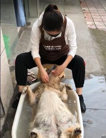 文章详情图片