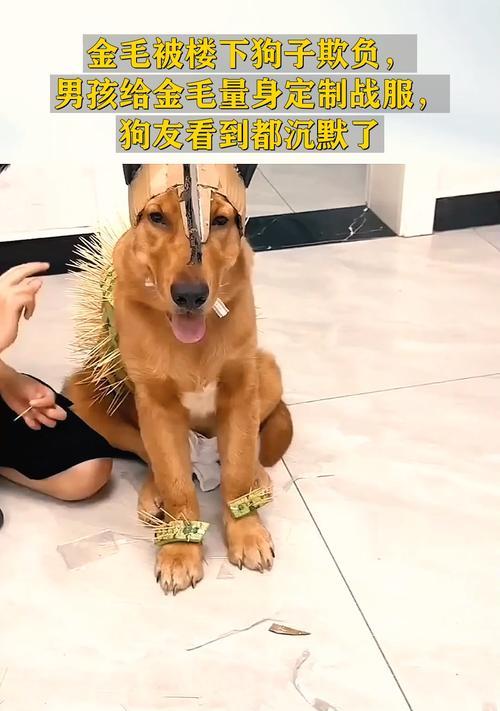 文章详情图片