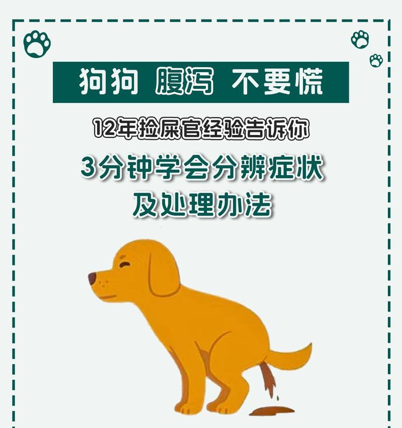 文章详情图片