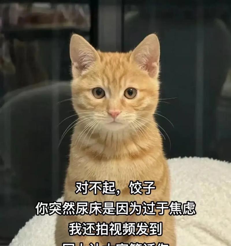 文章详情图片