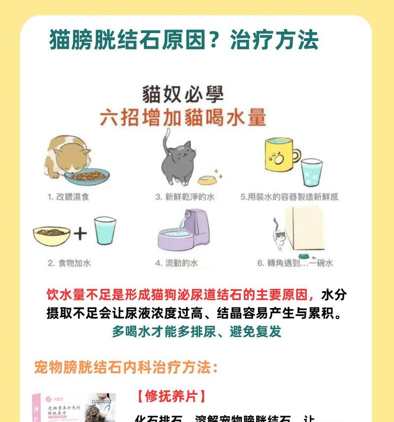 文章详情图片