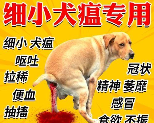 文章详情图片