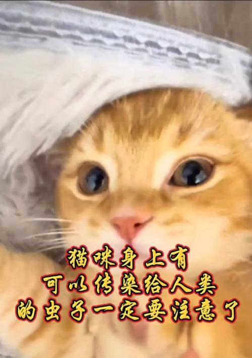 文章详情图片