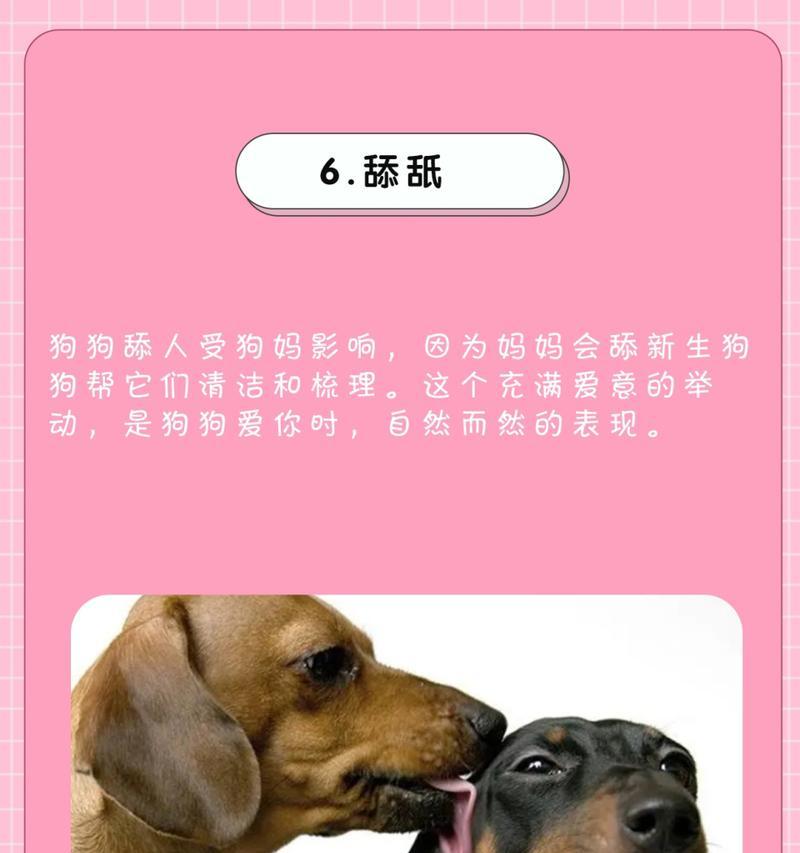 文章详情图片