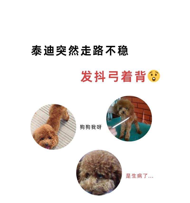 文章详情图片