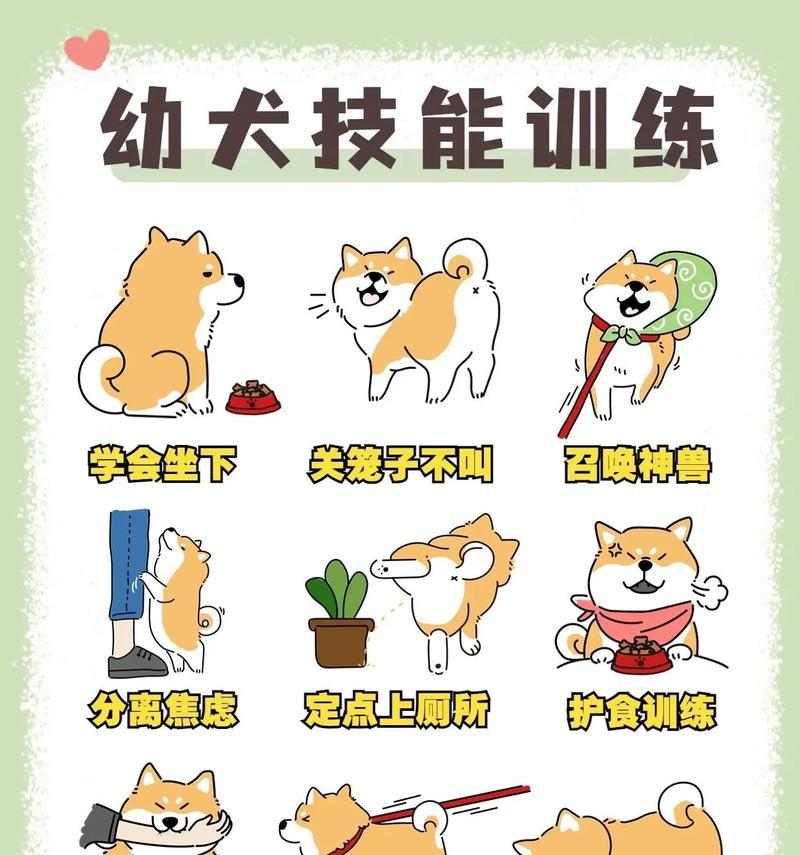 文章详情图片