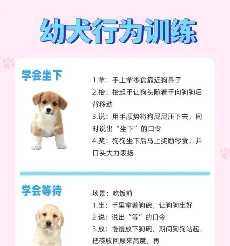 文章详情图片